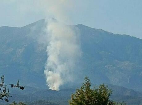 Muğla'da orman yangını! Ekipler müdahale ediyor