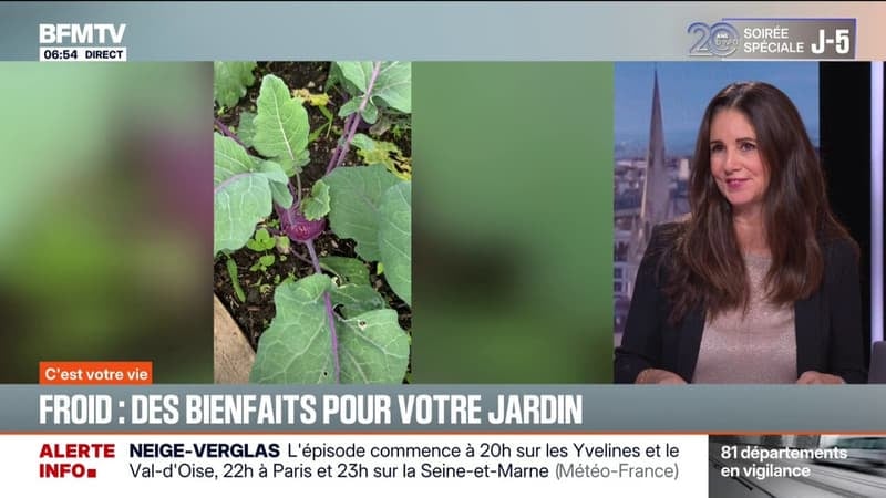 Vague de froid: quels sont les bienfaits pour votre jardin?