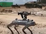 China plots unleashing machinegun-toting 'robot wolves' onto Taiwanese beaches in drone-led invasion
