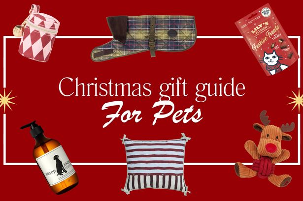 Best Christmas gifts for pets from turkey-flavoured treats to tartan coats