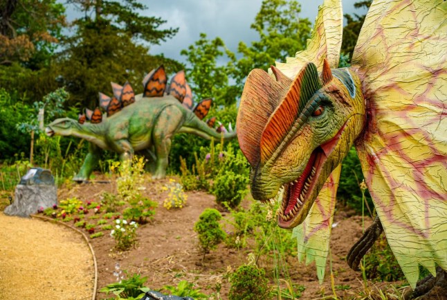 Dinosaur park’s models can only screech during certain times after complaints