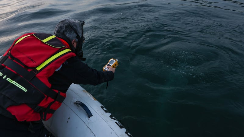 Bölge sakinlerini korkutmuştu: Sapanca Gölü'nde oluşan kabarcıkların nedeni belli oldu