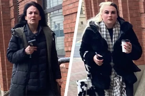 Boy left disfigured after being mauled by XL Bully dog