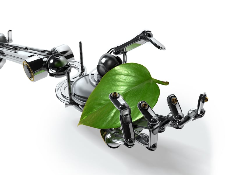 Développement de l’intelligence artificielle : « Attention au “quoi qu’il en coûte” climatique »