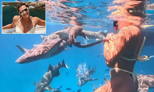 Aryna Sabalenka swims with sharks on holiday after missing out on women's tennis's biggest £4m payday