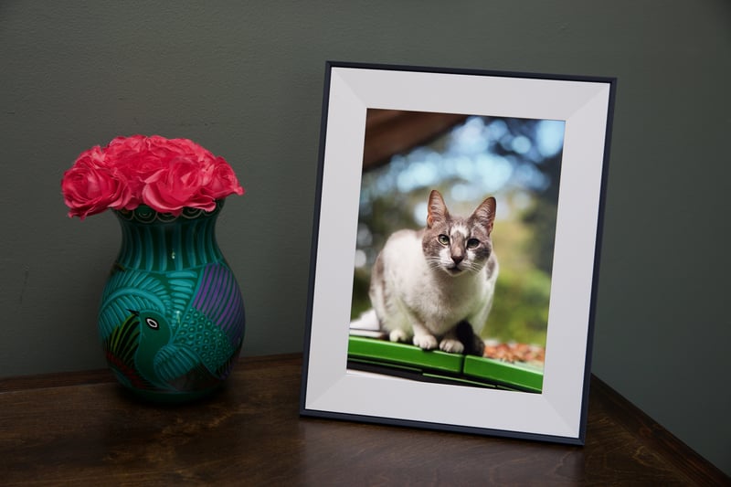 Aura’s latest, gift-worthy digital photo frame is $30 off for Black Friday
