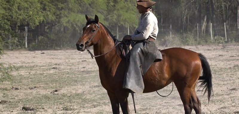 Literatur: Vergeltung statt Vergebung