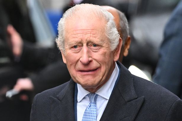 Lock of King Charles' hair goes up for sale with incredibly hefty price tag