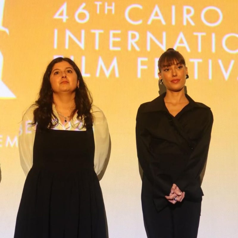 Kahire'de 'Dilan Hakkında Konuşmalıyız'