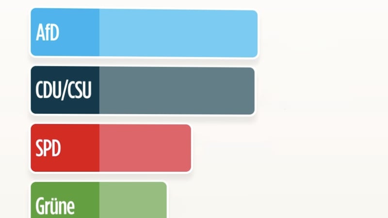 Sonntagsfrage - Die AfD-Spitze wackelt