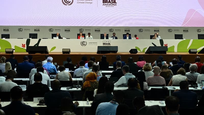 Fonds pour les forêts, efforts pour réduire la pollution carbone, "dialogue"... Les principaux résultats de la COP30