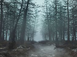 Eine Nacht, eine Party, eine Leiche: "Sally in the Wood" wird dich holen!