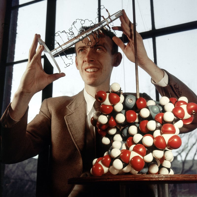 James Watson Saw the True Form of DNA. Then It Blinded Him.