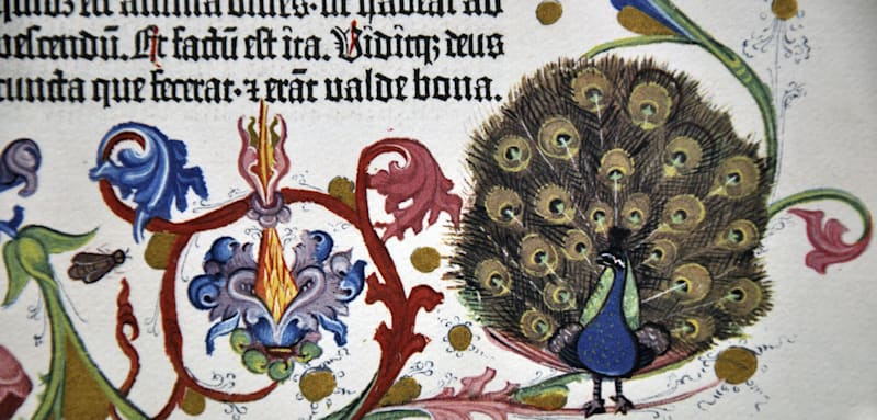 Mit diesem Buch begann die 1500-jährige Herrschaft der lateinischen Sprache in Europa