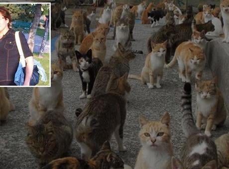 İzmir'den kahreden haber! 30 kedisiyle birlikte hayatını kaybetti