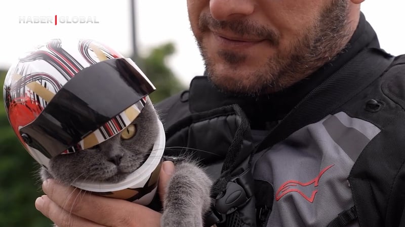 Motosikletli kedi Gofret,  İstanbul’un sokaklarında tur atıyor