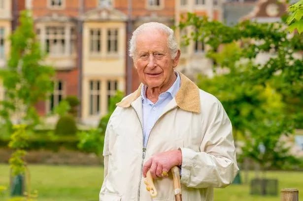 King Charles beams in new portrait to commemorate his 77th birthday