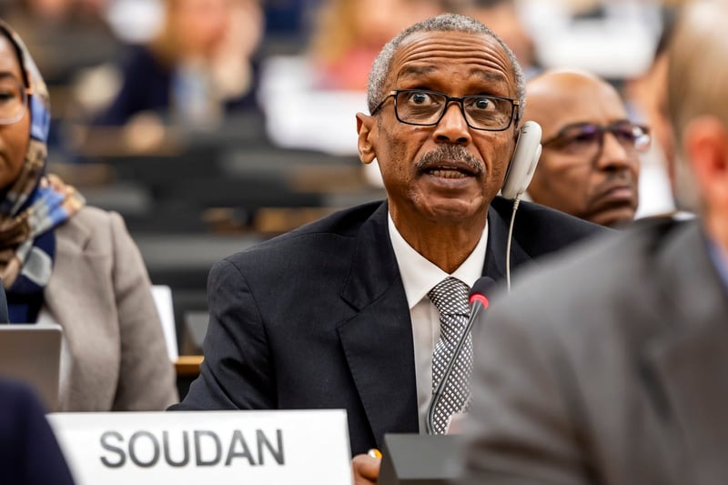 UN human rights body holds special session on Sudan after hundreds killed in Darfur's el-Fasher