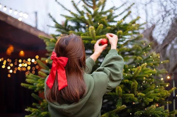 B&M's 'timeless' £5 item makes any Christmas tree 'look expensive and luxurious'