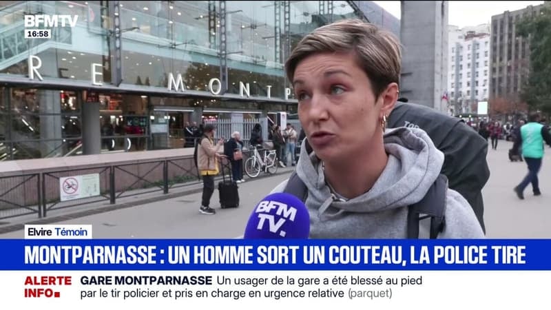 "Une dame a commencé à crier: ça tire, ça tire", raconte Elvire, témoin de l'incident à la gare Montparnasse