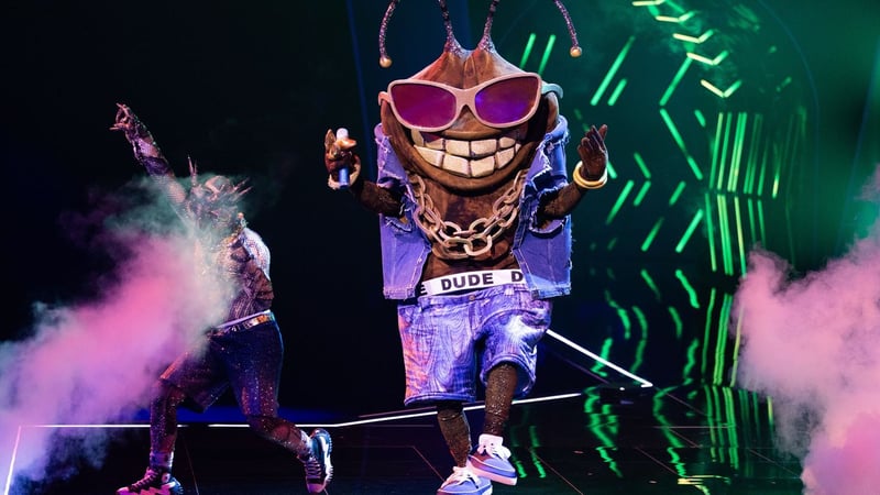 Fernsehen: US-Musiker bei "The Masked Singer" ausgeschieden