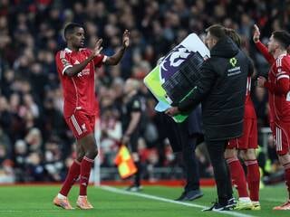 Premier League. Alexander Isak s’offre un doberman pour la somme folle de 34 000 € après des menaces de mort