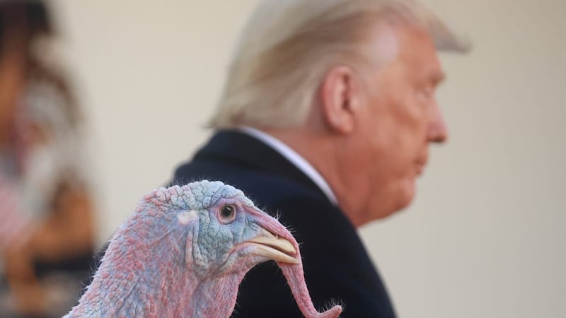 Wichtigster US-Feiertag - Trump will Ukraine-Frieden zu Thanksgiving