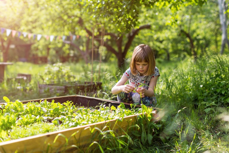 Le jardin naturel, un univers fantastique pour initier ses enfants à la biodiversité