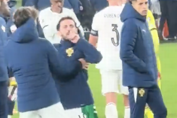 Ireland win sparks Portugal civil war as Cristiano Ronaldo mates dragged away from arguing with own fans