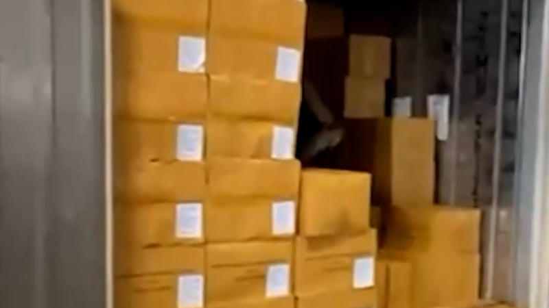 Tayland’dan yola çıktı, Kocaeli’nde yakalandı!