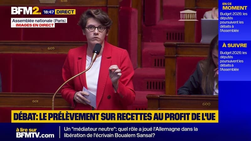 La députée LFI Gabrielle Cathala propose de minorer de 10 % la contribution de la France à l'UE