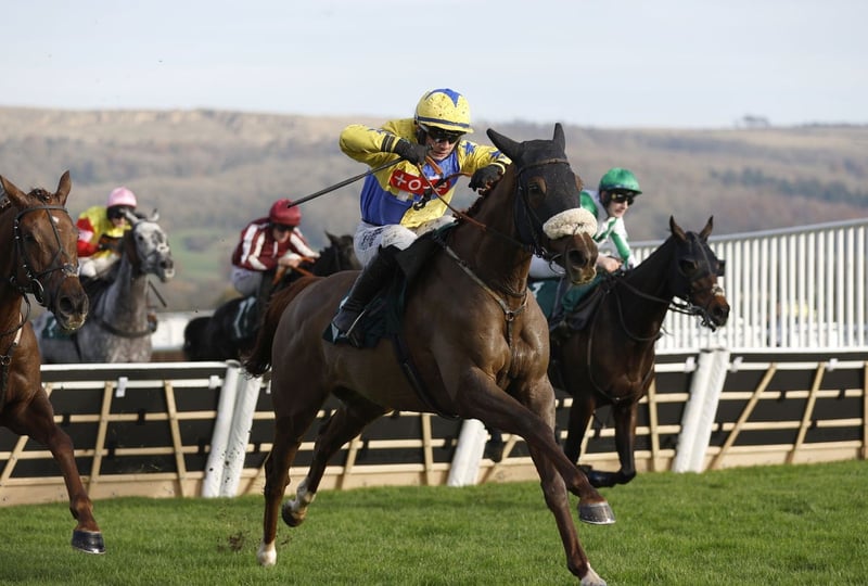 Friday racing tips: Best bets for Cheltenham and Newcastle