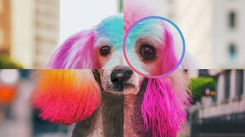 Google'dan kritik hamle: Gemini ile yapay zeka görsellerini anında tespit ediyor!