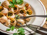 Shell-shocked: Thieves steal €90,000 worth of fine French snails destined for country's top restaurants for Christmas