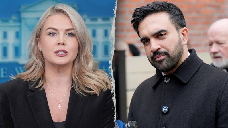 Leavitt doesn't mince words ahead of Mamdani-Trump meeting: 'Communist coming to the White House'