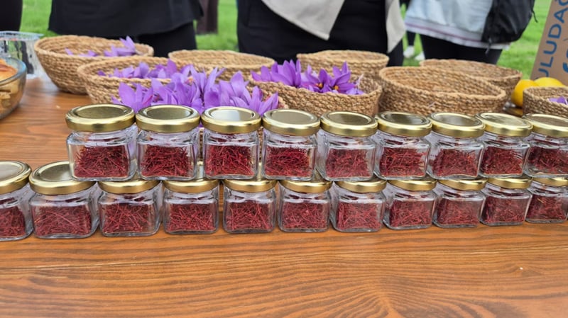 Gramı 600 TL'den satılıyor... Dünya'nın en pahalı baharatında hasat vakti