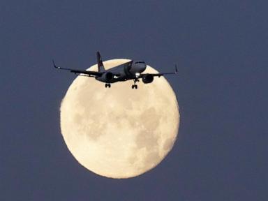 Airlines adopt software fix for Airbus A320 after plane has sudden altitude drop