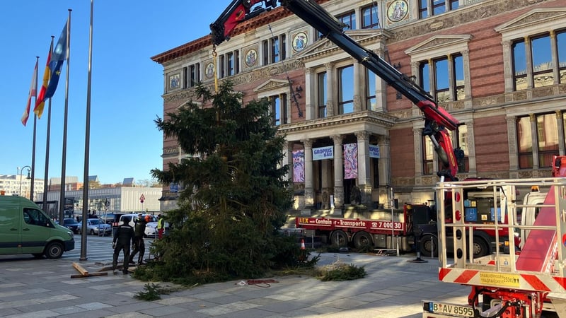 Berlin: Weihnachtsbaum für Abgeordnetenhaus zerbricht – und nun?
