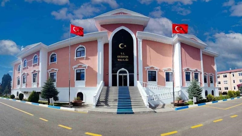 Valilikten "ölü hayvan" açıklaması!