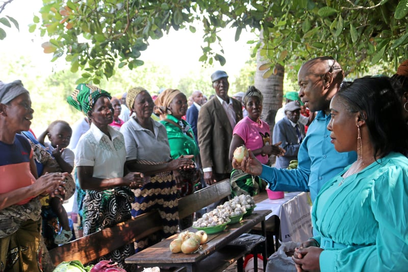nd-Solidaritätsaktion | Mosambik: Gemeinsam Saatgut bewahren
