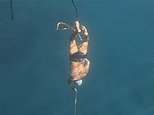 Now THAT'S what you call breathtaking: Diver breaks the world record by plunging 56 metres under ice - and he didn't even wear a wetsuit!