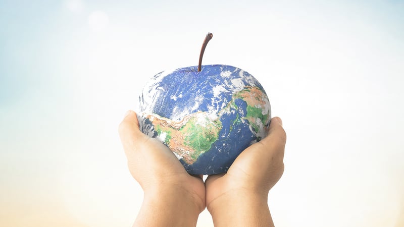 Hem dünyayı hem kendini koru! Yeni trend gezegen diyeti