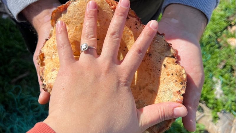 Yağmuru görenler evden fırladı: Kilosu 400 liradan kapış kapış satılıyor