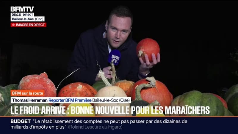 Avec 10°C à 15°C en moins, les maraîchers se réjouissent de la baisse des températures pour consommer les légumes de saison
