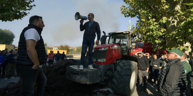 En crise, les viticulteurs demandent à arracher 35 000 hectares de vigne en France