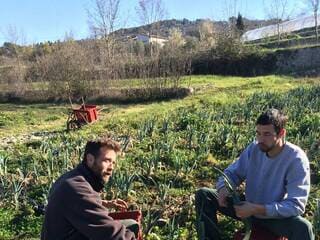 REPORTAGE. Quand la ferme municipale alimente la cantine, c’est un circuit vraiment ultra-court