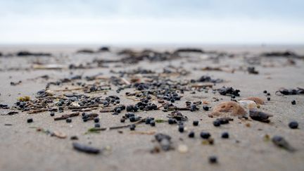 Dans les Hauts-de-France, une pollution aux "billes de plastique", en provenance d'Angleterre, pourrait être observée sur les plages "dans les jours qui viennent"