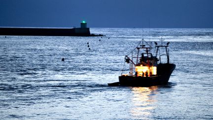 "Des pertes sèches en termes de chiffre d'affaires" : les pêcheurs s'inquiètent d'une baisse des quotas de pêche sur les maquereaux dans l'UE