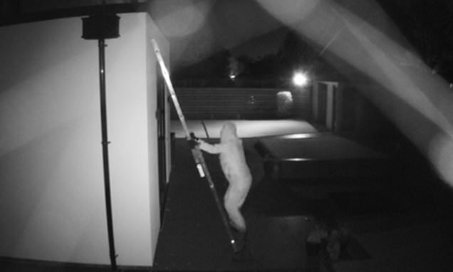 'They have no idea what they're up against': Inside the 'sophisticated' foreign crime gang operation targeting footballers - as our experts reveal alarming signs crooks are growing in confidence and trick to really keep your home safe