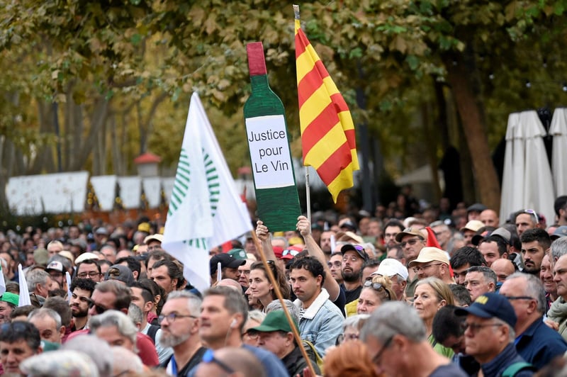 À Béziers, la manifestation de la « dernière chance » des viticulteurs
